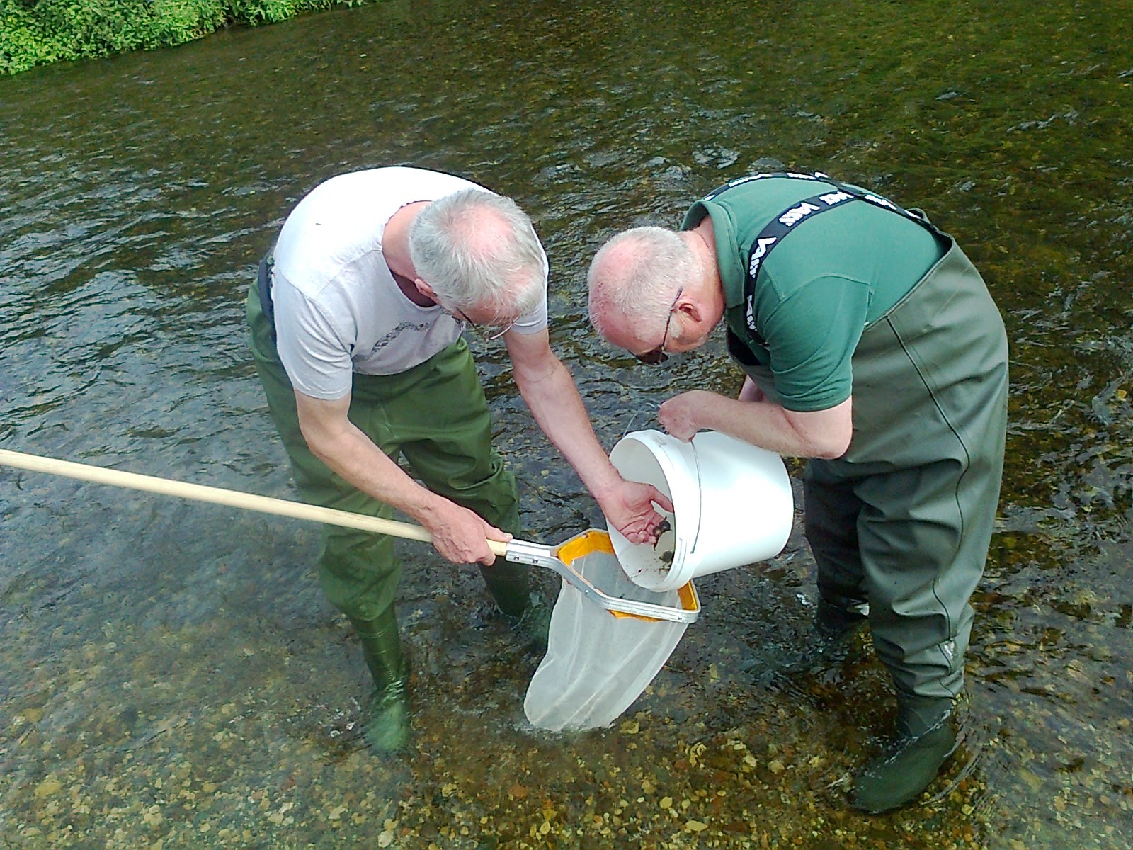people inspecting riverfly