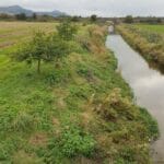 image of stream on river eden fife